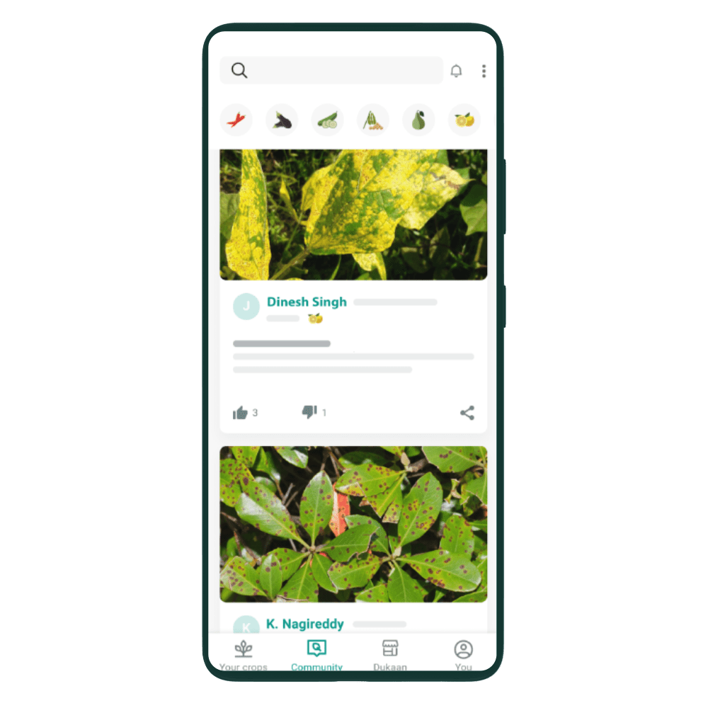 Plantix | L'app GRATUITE #1 pour le diagnostic et le traitement des cultures