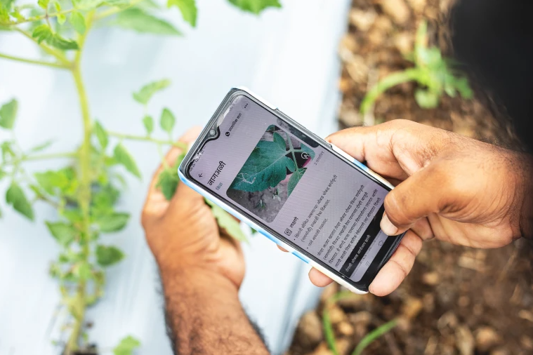Transforming agriculture: Mobile phones as farmers' lifeline