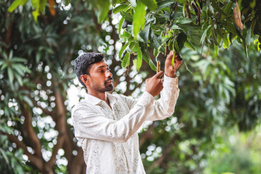 ખેડૂત તેના પાકની તપાસ કરી રહ્યો છે